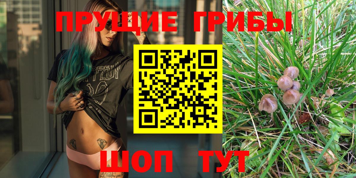 Псилоцибиновые грибы Cubensis  купить наркотик  Рязань  Вход с VPN 